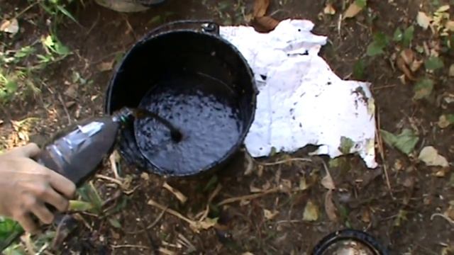 Вегетарианские Блюда и Гастрономия