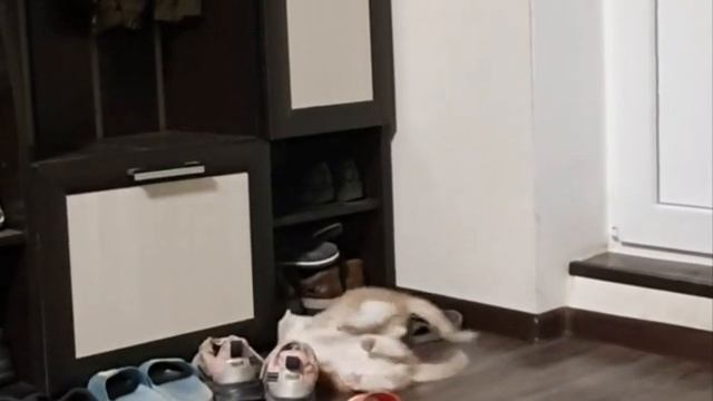 наши Тётя и Мотя) смотреть онлайн
