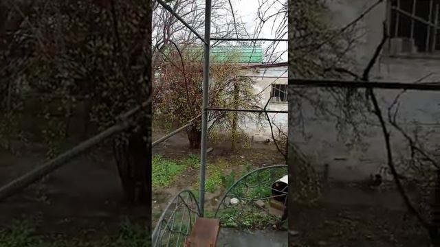 Погода в городе Тараз на сейчас смотреть онлайн