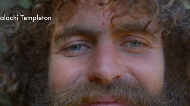 Чувственные Линии