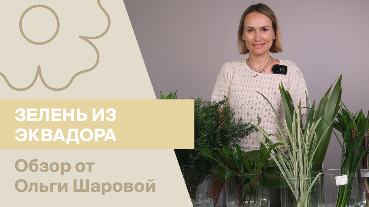 Зелень из Эквадора | Обзор от Ольги Шаровой