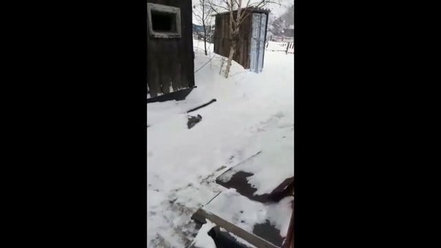 СрэкаЯ_магнит и отматывание показаний_25.02.2021 смотреть онлайн