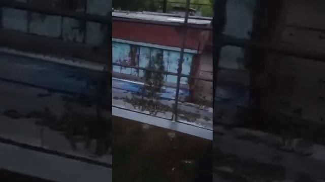 Не навреди!!! (пасека не моя!!!) Не все спреи от клеща одинаково полезны! смотреть онлайн