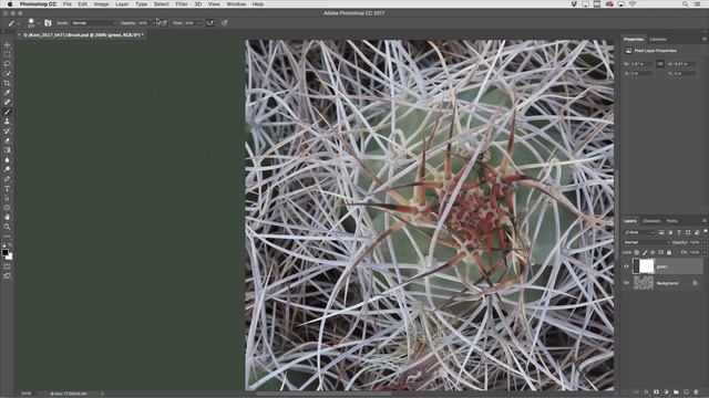 5 Tips for Working with Brushes | Adobe Photoshop смотреть онлайн