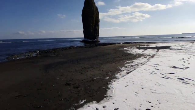 Мой день//Суббота//Тихий океан//Увидели следы медведя// смотреть онлайн