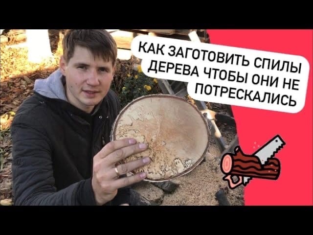 Как заготовить торцевые спилы дерева чтобы они не потрескались смотреть онлайн