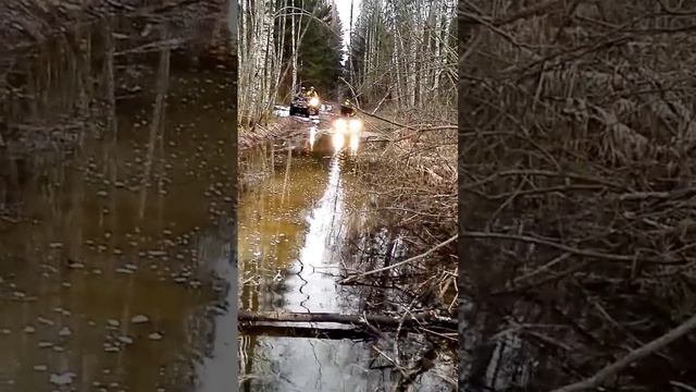 BRP OUTLANDER 650 XMR смотреть онлайн