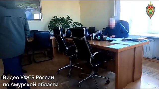 Директора благовещенской стройкомпании обвиняют в многомиллионном мошенничестве смотреть онлайн