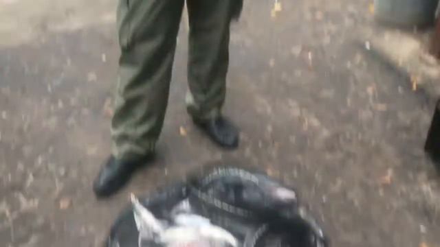 08 09 17 клевое место осетрово-форелевый улов с нижнего безлимитного пруда смотреть онлайн