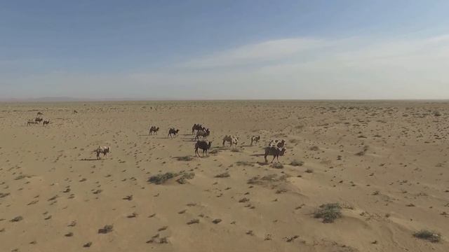 China Silk Road Rally 2015 part 3 смотреть онлайн