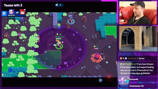 COLLEGE EMZ Gains FRESHMEN 15 CUPS! - Brawl Stars смотреть онлайн
