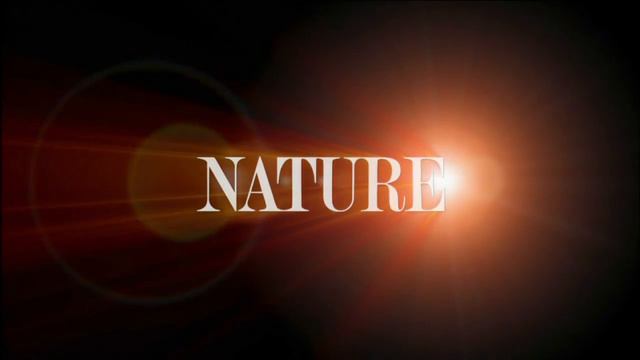 Indiana Newsdesk, December 9, 2016 Waters of the U.S. & ACA смотреть онлайн
