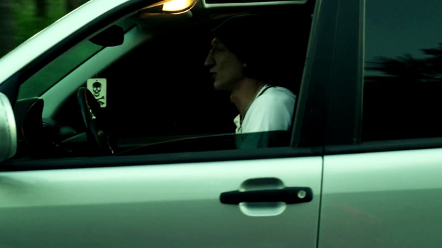 Сестрорецк Хам Сидельников