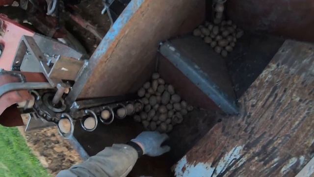 Испытываем и сажаем картофель, самодельной двухрядной картофелесажалкой для минитрактора. смотреть онлайн