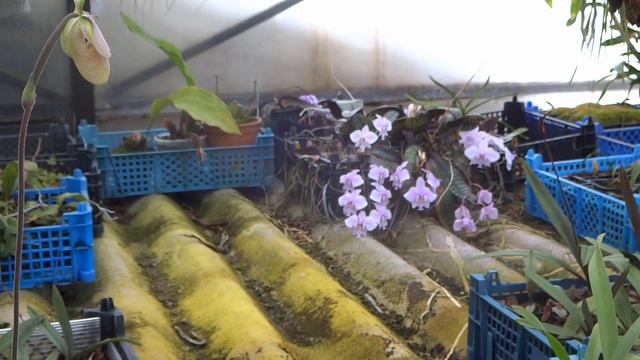 Эстафета от канала Марина,,Калейдоскоп"ОТВЕТЫ НА ВОПРОСЫ) ПЕСНЯ В КОНЦЕ ЭТОГО ВИДЕО ОТ МЕНЯ ДЛЯ ВАС смотреть онлайн