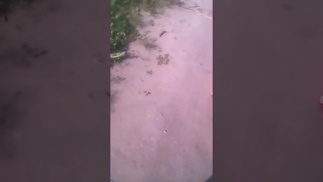 Как рассмешить друзей смотреть онлайн