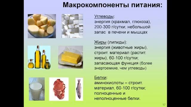 Вячеслав Дубынин Лекция 2 Мозг и еда Мозг и потребности Человека смотреть онлайн