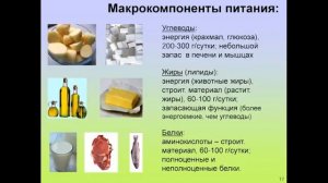 Вячеслав Дубынин Лекция 2  Мозг и еда Мозг и потребности Человека