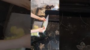 Заморозка кабачков вакууматором