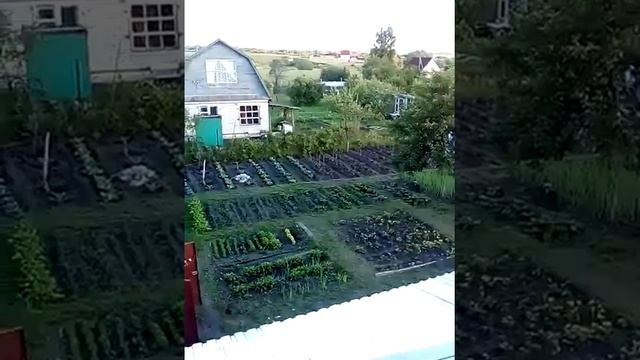 Вид дачи в верху смотреть онлайн