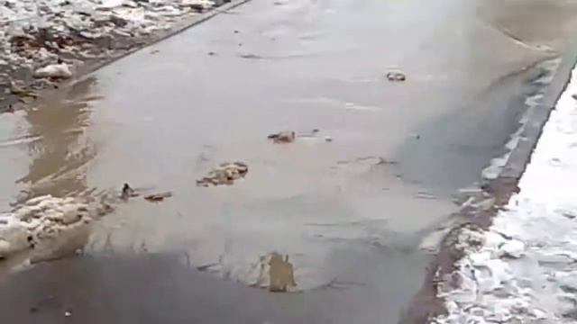 Благоустройство в г.Белорецк на улице Ф.Алексеева, так выглядит пешеходный тротуар после кап.ремонт смотреть онлайн