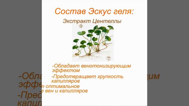 Эскус Гель смотреть онлайн