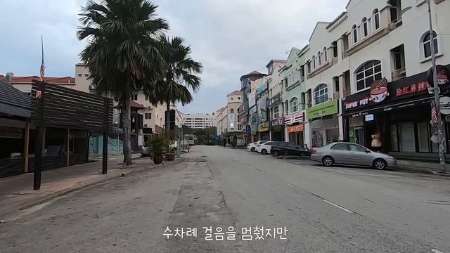 출근길 길고양이에게 운명처럼 간택당하다 - 【고양이의 간택 EP.01】 고양이 구조, 냥줍, 입양 스토리 смотреть онлайн