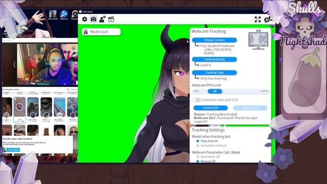 How to Use HD Face Tracking on Multiple VTuber Software with ONE Webcam смотреть онлайн