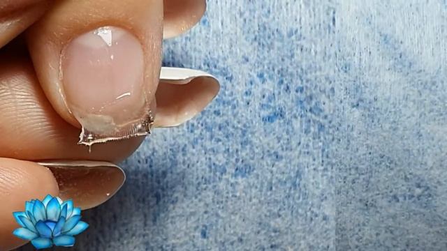 Наращивание ногтей гелем для начинающих. Как сделать красивые длинные ногти. смотреть онлайн