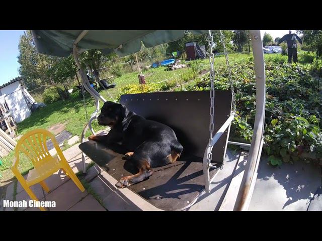 Ремонт напольного вентилятора и дачных качелей пока все спят смотреть онлайн