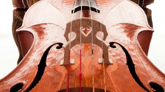 Mozart "Eine kleine Nachtmusik", 1st Movement for String Quartet смотреть онлайн