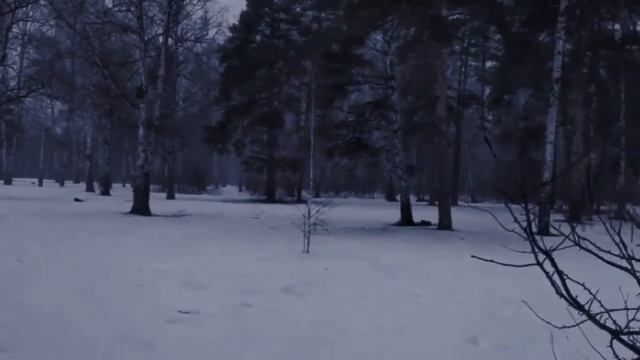 Я по первому снегу бреду. (Есенин) смотреть онлайн