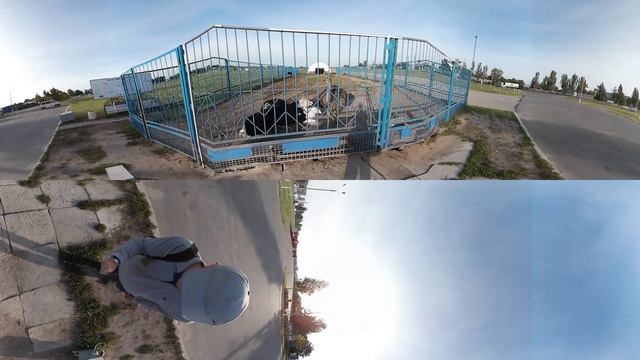 Видео 360, Днепр сентябрь 2018, Танец страуса смотреть онлайн