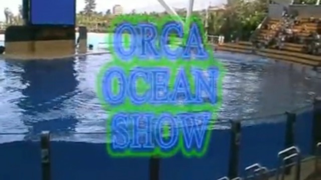ORCA SHOW 