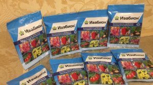 ИЗАБИОН Подробная инструкция. Все тонкости применения