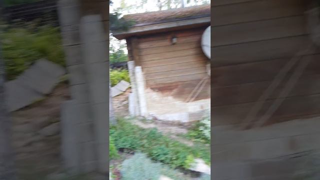 Бандиты уже уехали, а полиция все не едет смотреть онлайн