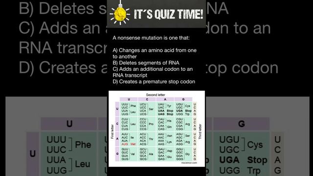 Nonsense mutation смотреть онлайн