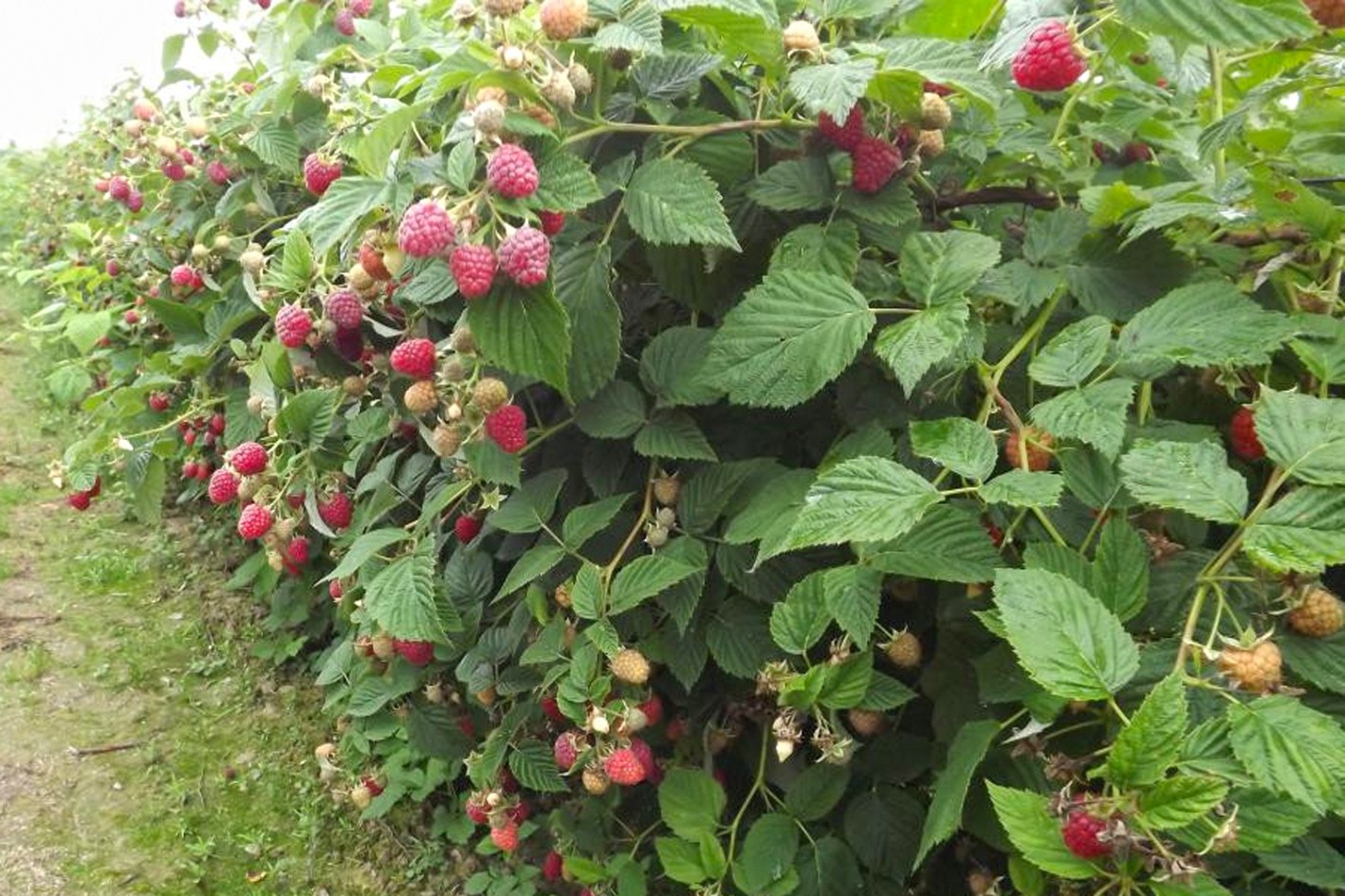 Удивительный Мир!