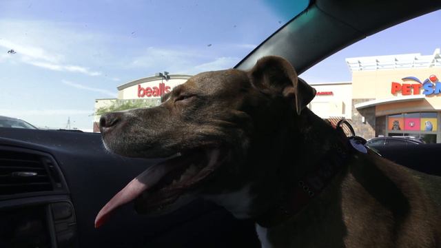 10 5 20 Murdoch going to the store смотреть онлайн