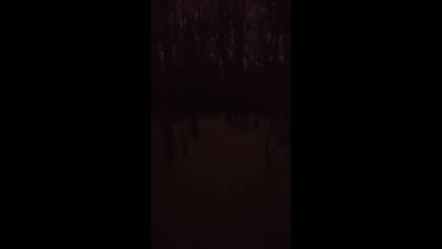 Самый яркий светодиодный налобный фонарик на АлиЭкспресс! смотреть онлайн