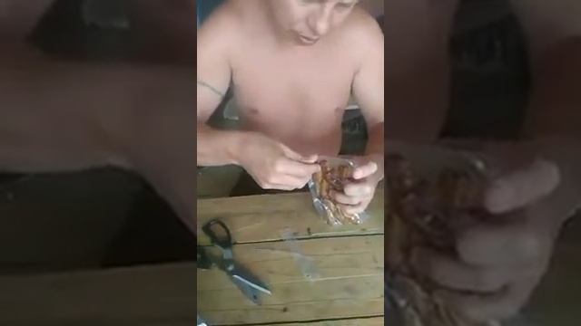 Вкусы народов мира смотреть онлайн