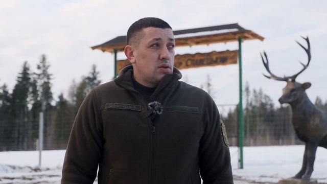 Як живуть олені благородні на Буковині? смотреть онлайн