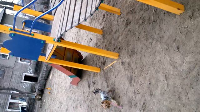 ЙОРК катается на горке смотреть онлайн