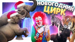 ЦИРК и Новогоднее шоу! Много животных , бесподобные трюки и веселье. #цирк #circus #животные #смешно
