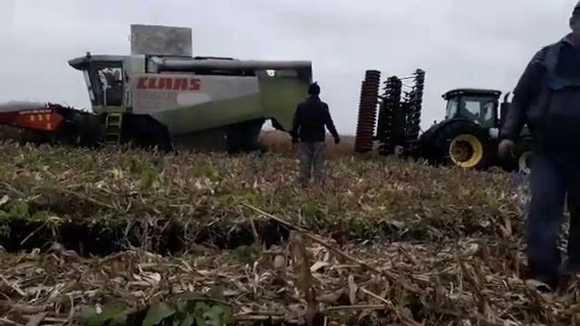 LEXION 480 ВЫТЯНУТЬ ИЗ БОЛОТА Оказалось не так просто вытянуть смотреть онлайн