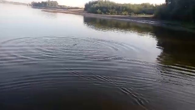 Рыбалка на вершу мордушку кубарь смотреть онлайн