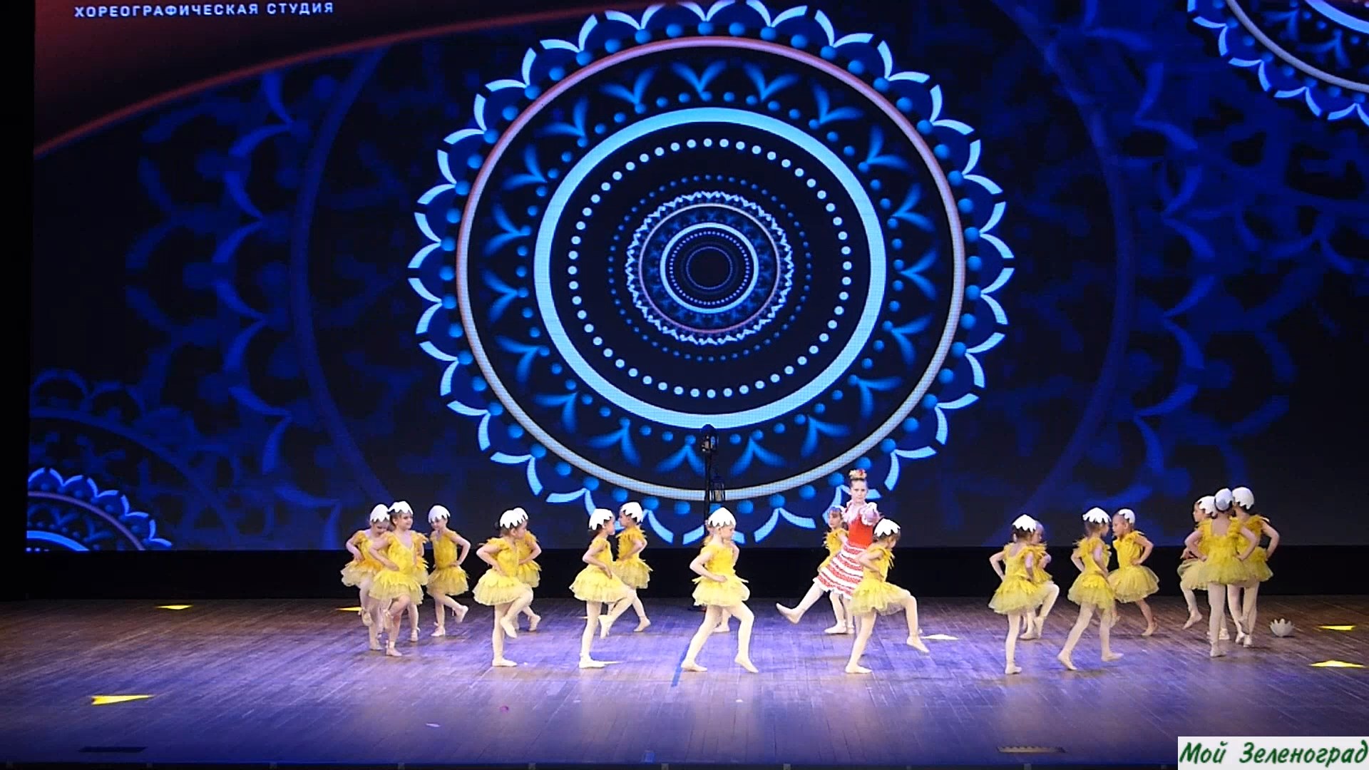 Хореографическая студия «Мари-дэнс» - Цыплята