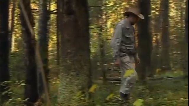 Грибы и ягоды в осеннем лесу (следопыт) смотреть онлайн