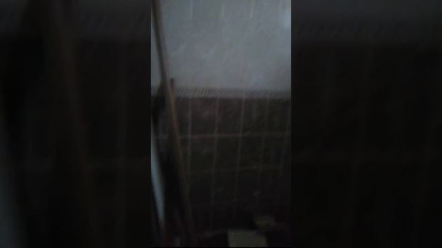 Горячий ключ дом 75 кв. м., ст. Саратовская смотреть онлайн