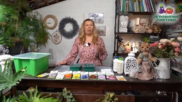 Лучшее время для посева виолы | #цветывсаду #виола #дача смотреть онлайн